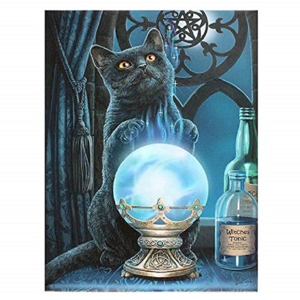 New The Witches Apprentice Cat Plush Throw Gift Blanket Sherpa Lisa Parker SOFT